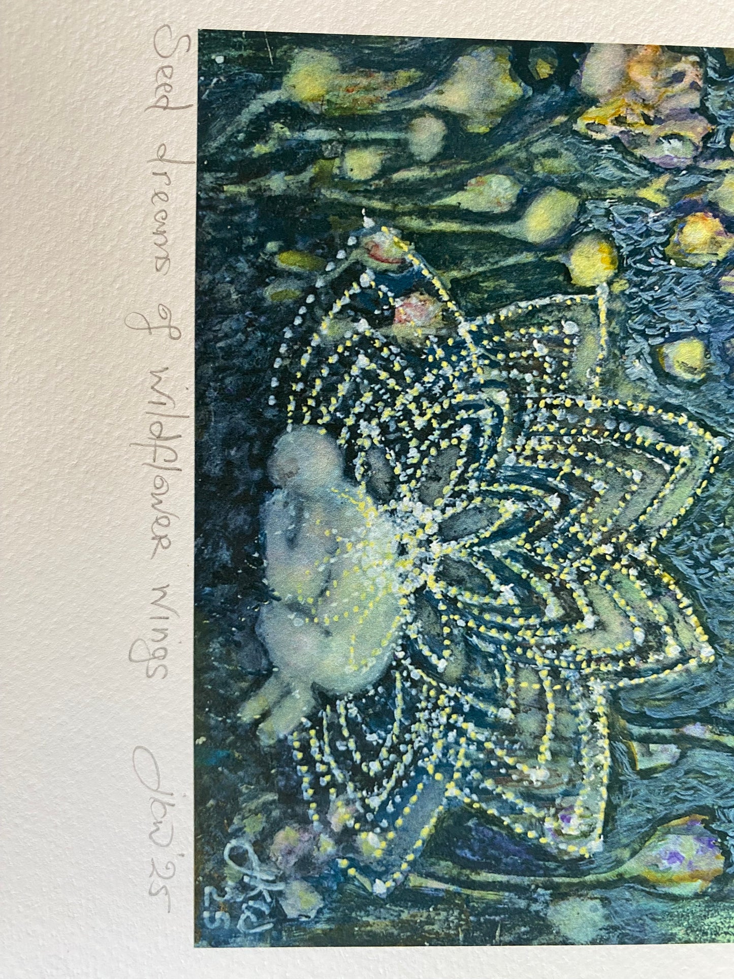 a seed dreams of wildflower wings 2025 TREASURE